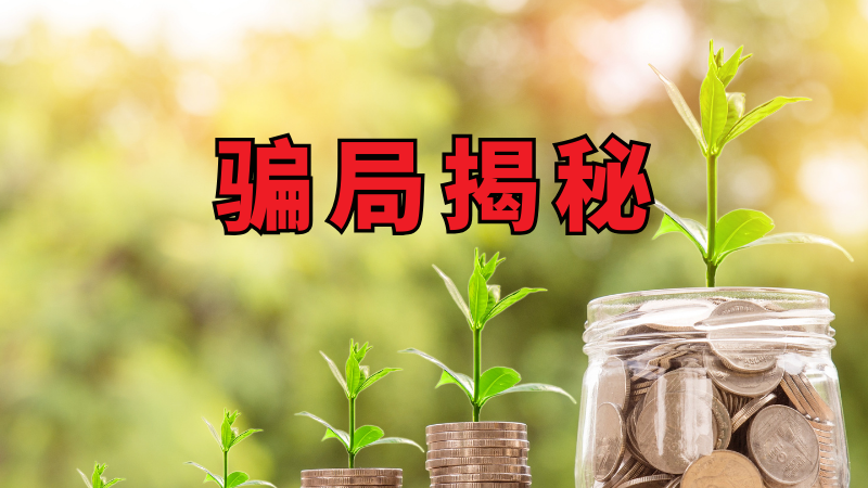 专家揭示世界量化交易迪维平台诈骗手法,投资者警惕高收益陷阱 专家揭示世界量化交易迪维平台诈骗手法,投资者警惕高收益陷阱